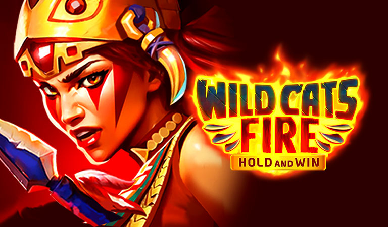 와일드 캣 파이어 홀드앤윈